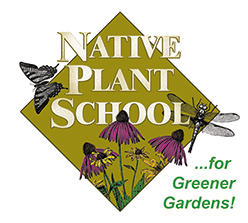 Native Plant School